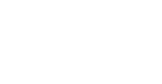 Siller professional