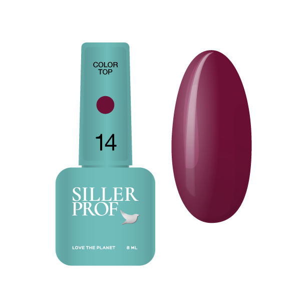 Siller Color top Product card 14